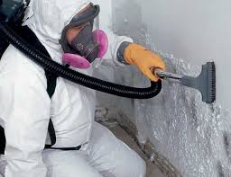 Best Forensic Mold Investigation  in Cottonwood, AL